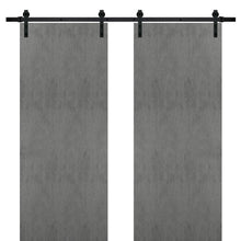 Load image into Gallery viewer, Sturdy Double Barn Door with Hardware | Planum 0010 | Concrete - Concrete(6 ft Railing) Black Rail / 36’’ x