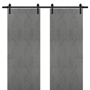 Sturdy Double Barn Door with Hardware | Planum 0010 | Concrete - Concrete(6 ft Railing) Black Rail / 36’’ x