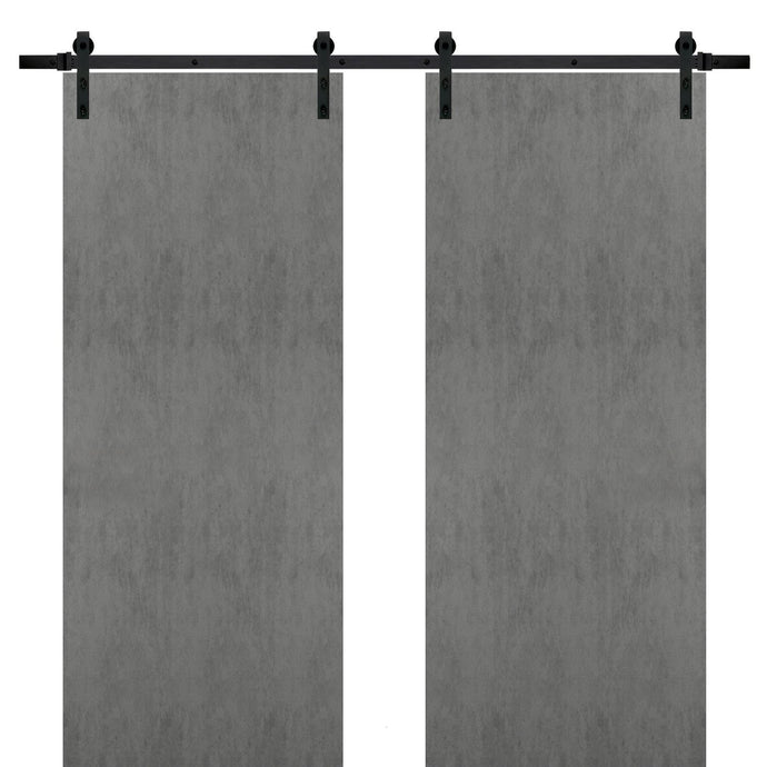 Sturdy Double Barn Door with Hardware | Planum 0010 | Concrete