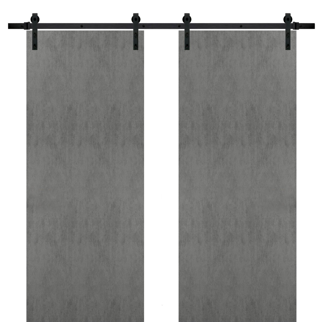 Sturdy Double Barn Door with Hardware | Planum 0010 | Concrete - Concrete(6 ft Railing) Black Rail / 36’’ x