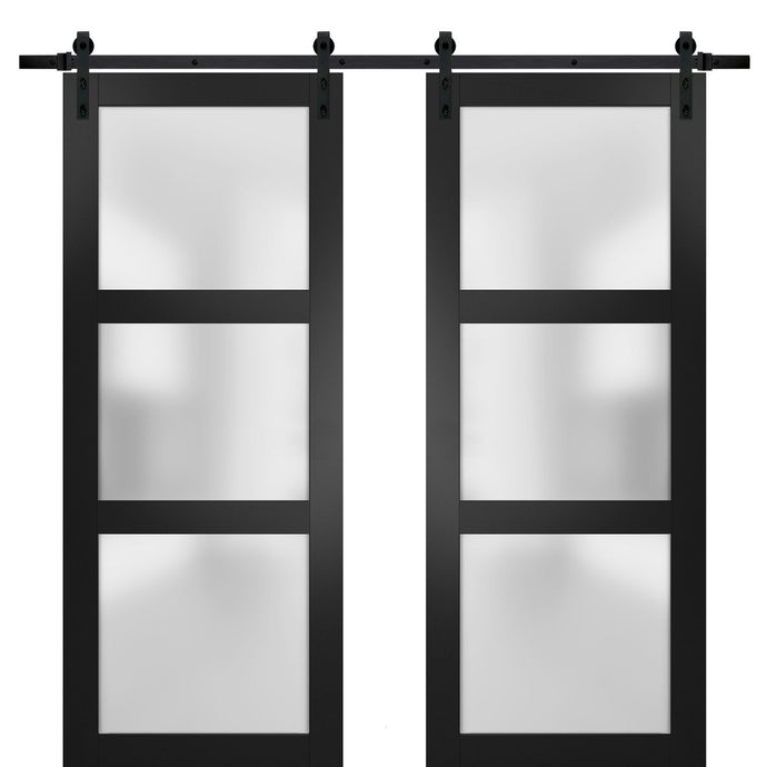 Sturdy Double Barn Door with Frosted Glass | Lucia 2552 | Black Matte
