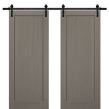 Load image into Gallery viewer, Sliding Double Barn Doors with Hardware | Quadro 4111 | Grey Ash