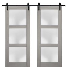 Load image into Gallery viewer, Sturdy Double Barn Door with Frosted Glass | Lucia 2552 | Grey Ash