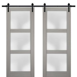 Sturdy Double Barn Door with Frosted Glass | Lucia 2552 | Grey Ash