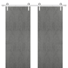 Load image into Gallery viewer, Sturdy Double Barn Door with Hardware | Planum 0010 | Concrete - Concrete(6 ft Railing) Silver Rail / 36’’ x