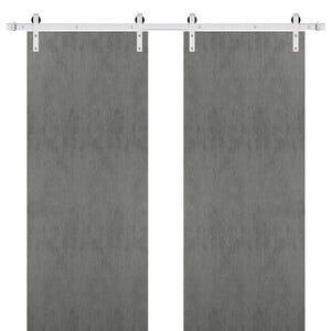 Sturdy Double Barn Door with Hardware | Planum 0010 | Concrete - Concrete(6 ft Railing) Silver Rail / 36’’ x