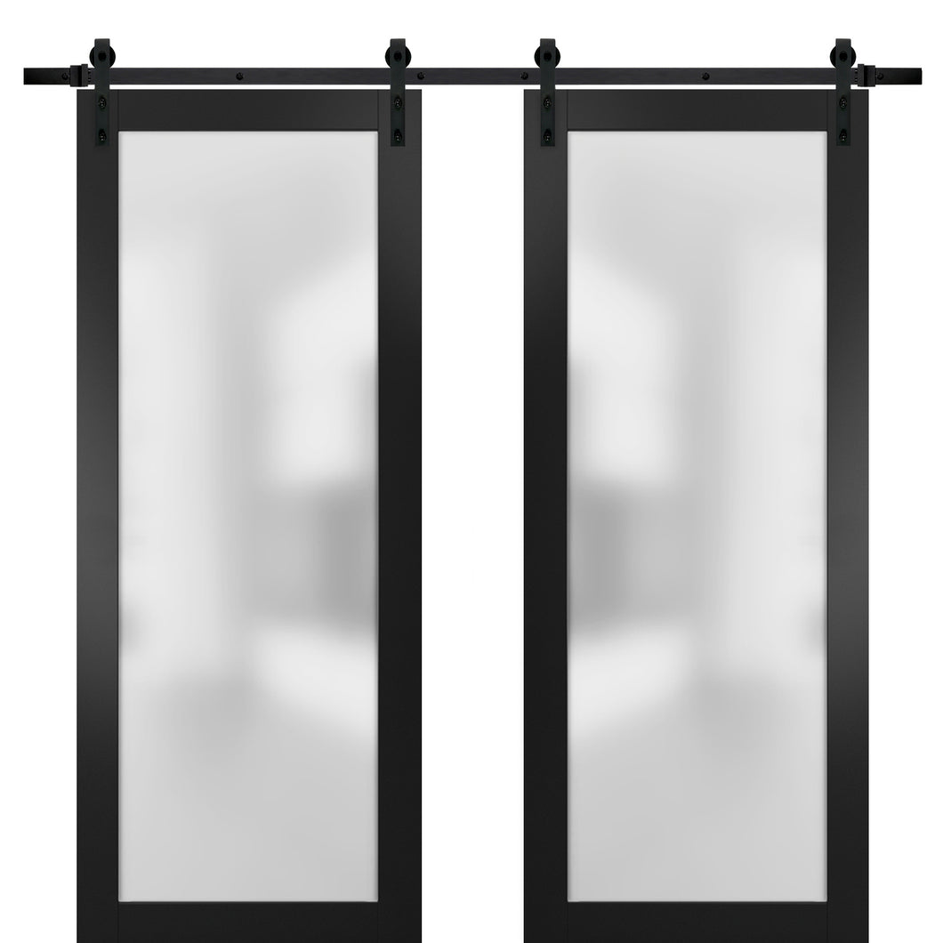Sturdy Double Barn Door | Frosted Glass | Planum 2102 | Black Matte