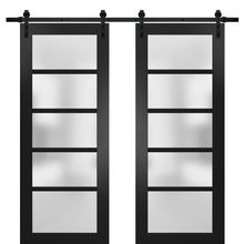 Load image into Gallery viewer, Sturdy Double Barn Door | Quadro 4002 | Black Matte