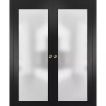 Load image into Gallery viewer, Interior Sliding Closet Double Pocket Doors | Planum 2102 | Black Matte