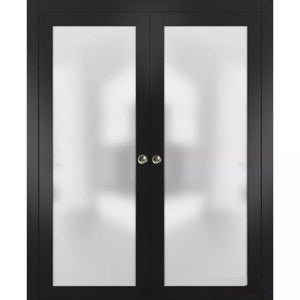 Interior Sliding Closet Double Pocket Doors | Planum 2102 | Black Matte