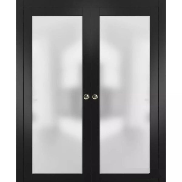 Interior Sliding Closet Double Pocket Doors | Planum 2102 | Black Matte