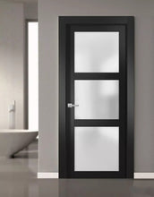 Load image into Gallery viewer, Solid French Door Clear Glass 3 Lites | Lucia 2555 | Matte Black
