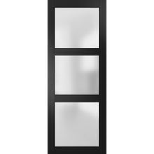 Load image into Gallery viewer, Slab Barn Door Panel Frosted Glass | Lucia 2552 | Black Matte - Doors